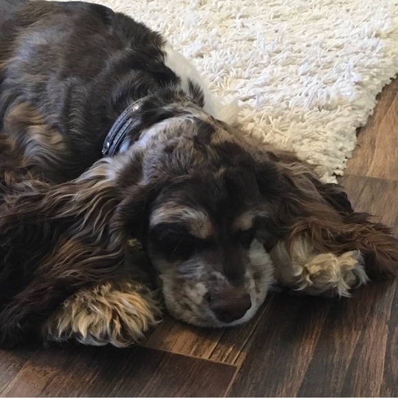 Meet Your Posher, Karri - Picture 17 of 17